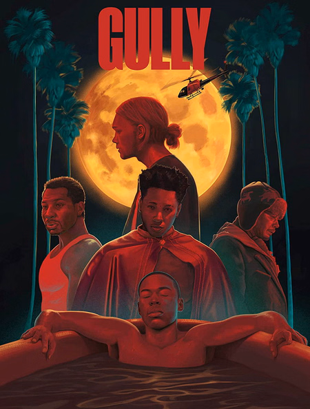 Póster de la película Gully