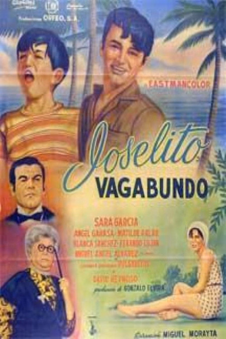 Póster de la película El falso heredero