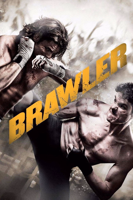 Póster de la película Brawler