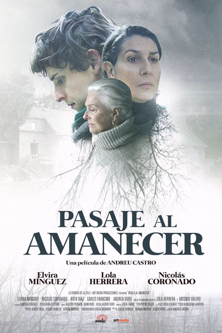 Póster de la película Pasaje al amanecer