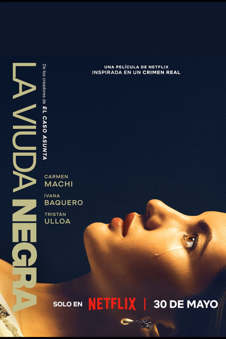 Póster de la película La viuda negra