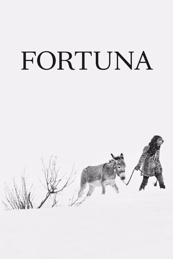 Póster de Fortuna