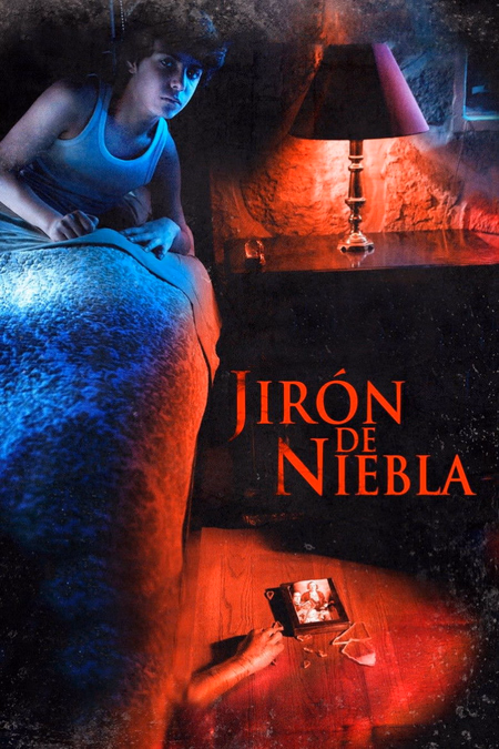 Póster de la película Jirón de niebla