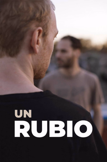 Póster de la película Un rubio