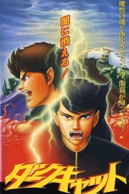 Póster de la película Dark Cat