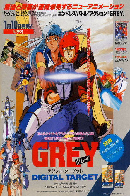 Póster de la película Grey Objetivo Digital