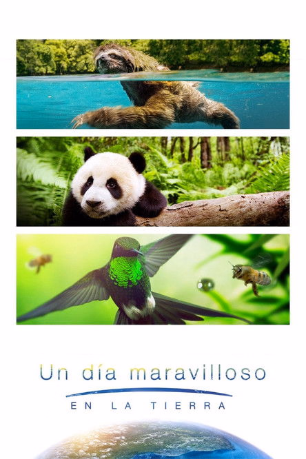 Póster de la película Un día maravilloso en la Tierra