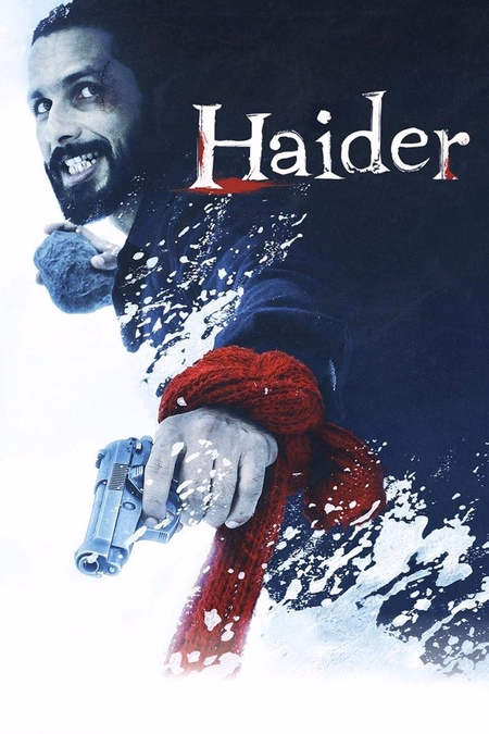 Póster de la película Haider