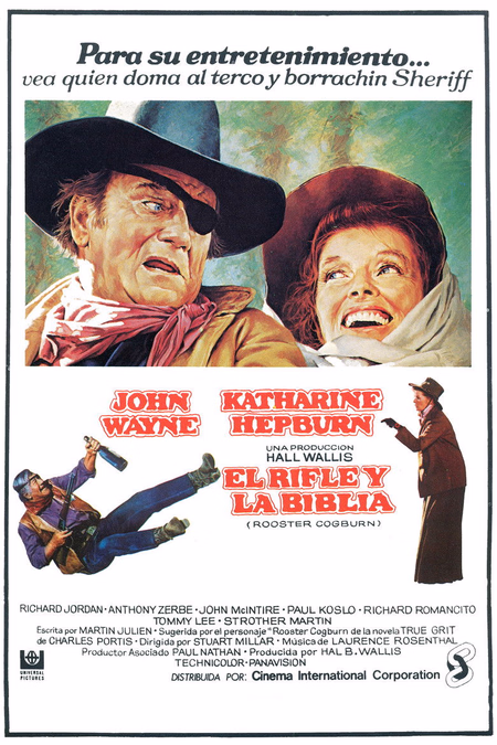 Póster de la película El rifle y la Biblia