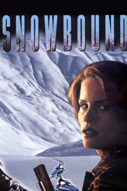 Póster de la película Atrapadas en la nieve