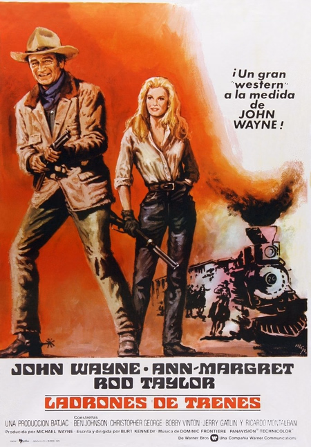 Póster de la película Ladrones de trenes