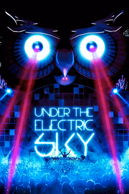 Póster de la película Under the Electric Sky