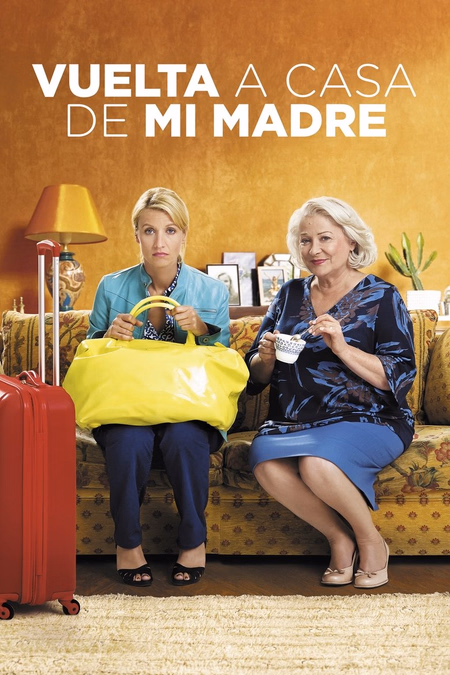 Póster de la película Vuelta a casa de mi madre