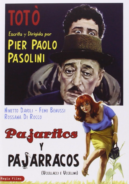 Póster de la película Pajaritos y pajarracos