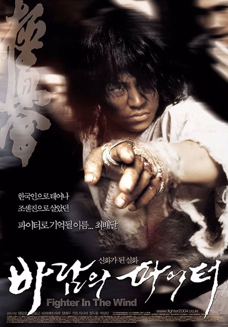 Póster de la película Fighter in the Wind