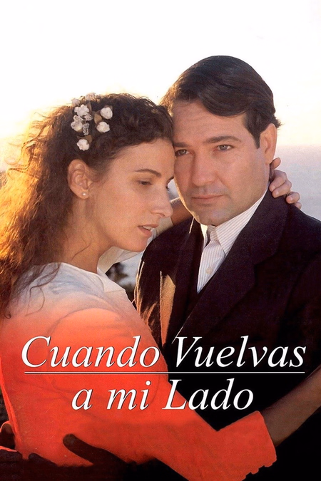 Póster de la película Cuando vuelvas a mi lado