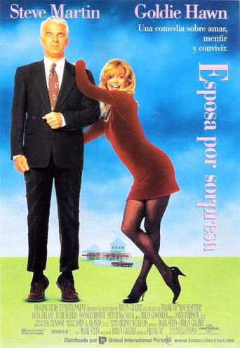 Póster de la película Esposa por sorpresa