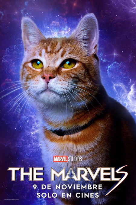 Póster de la película The Marvels
