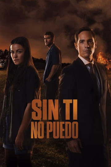 Póster de Sin ti no puedo