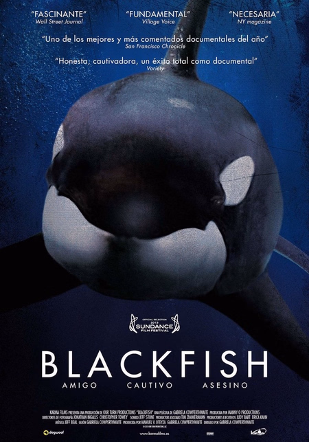 Póster de la película Blackfish