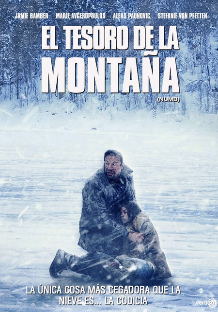 Póster de la película El tesoro de la montaña