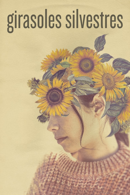 Póster de la película Girasoles silvestres
