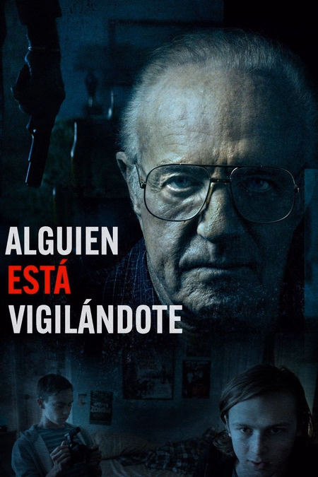 Póster de la película Alguien está vigilándote