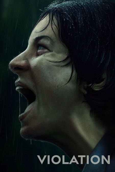 Póster de la película Violation