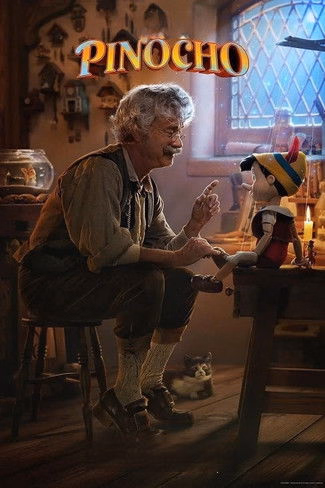 Póster de la película Pinocho