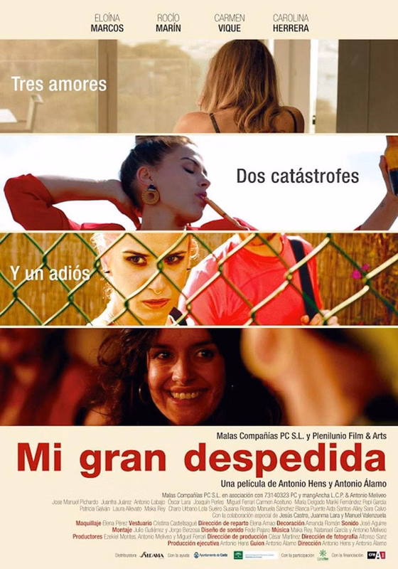 Póster de Mi gran despedida