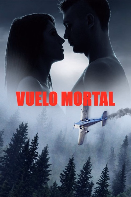 Póster de Miedo a volar