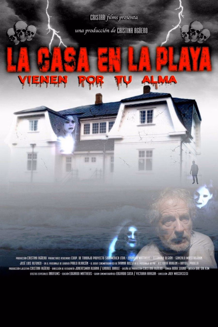Póster de la película La casa en la playa