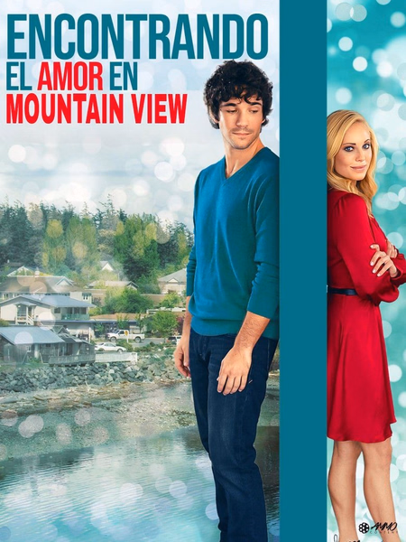Póster de la película El amor te encuentra en Mountain View