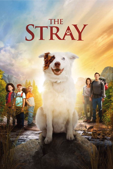 Póster de la película The Stray