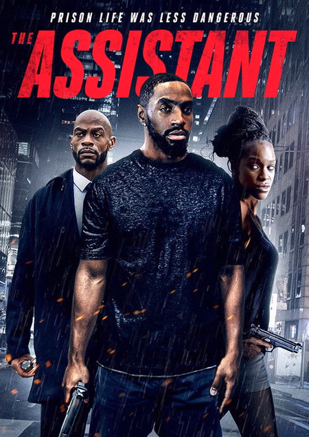 Póster de la película El Asistente