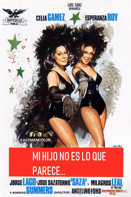 Póster de la película Mi hijo no es lo que parece