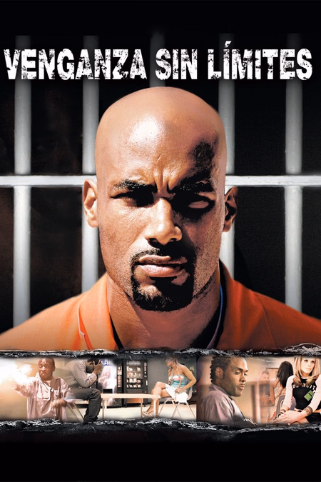 Póster de la película Venganza sin límites
