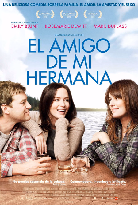 Póster de la película El amigo de mi hermana