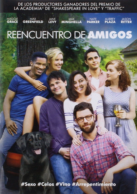 Póster de la película Reencuentro de amigos