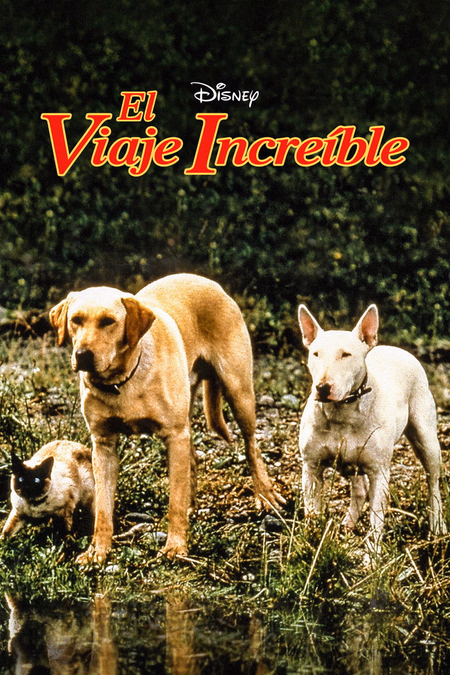 Póster de la película El viaje increible