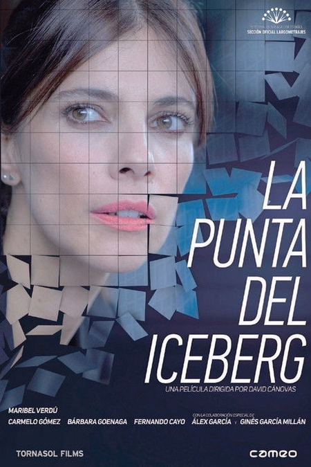 Póster de la película La punta del iceberg
