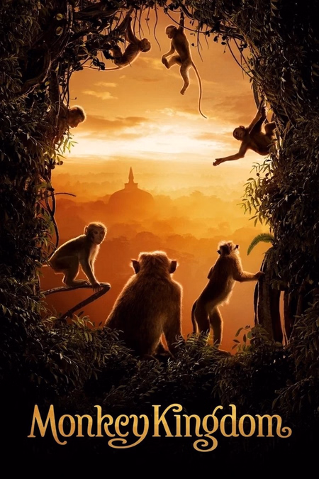 Póster de la película El reino de los monos