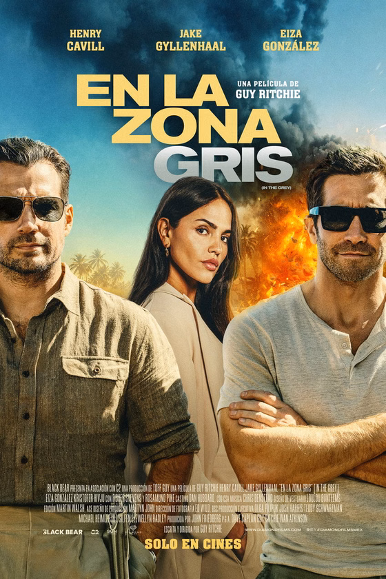 Póster de En la zona gris