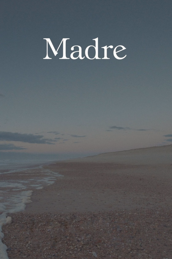 Póster de Madre