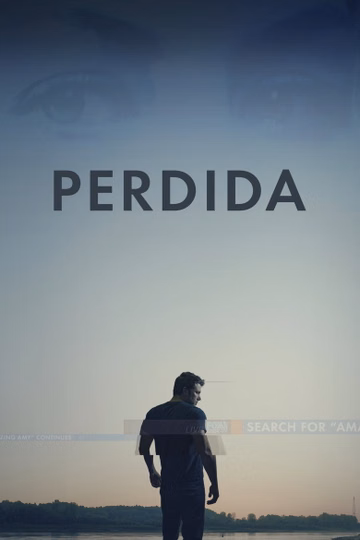 Póster de Perdida