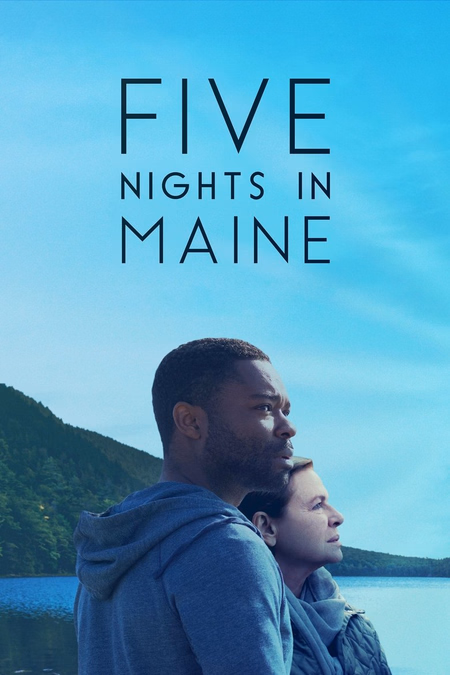 Póster de la película Five Nights in Maine