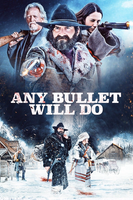 Póster de la película Any Bullet Will Do