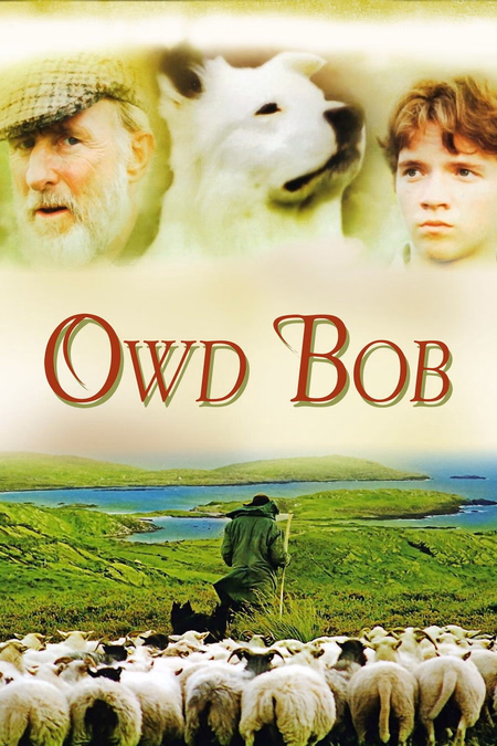 Póster de la película El viejo Bob