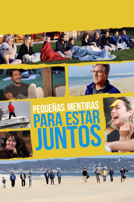 Póster de la película Pequeñas mentiras para estar juntos