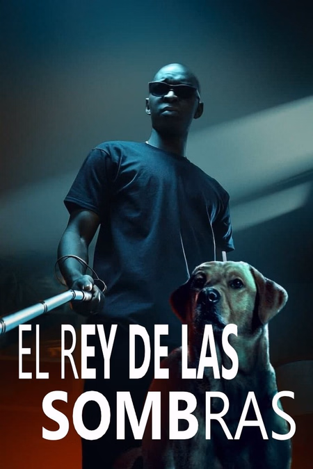 Póster de la película El rey de las sombras